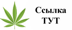 Купить наркотики в Тимашёвске